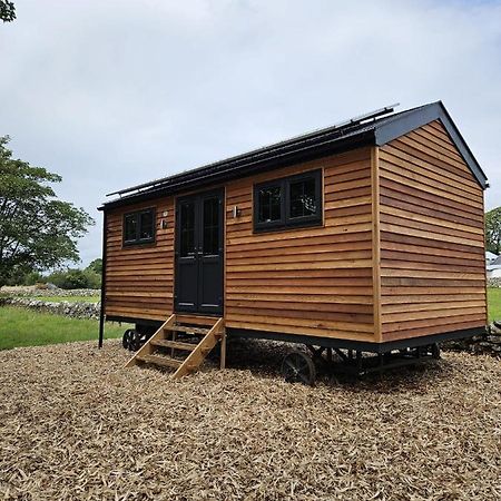 Woodland Shepherds Hut - 'Saga' Caernarfon Buitenkant foto