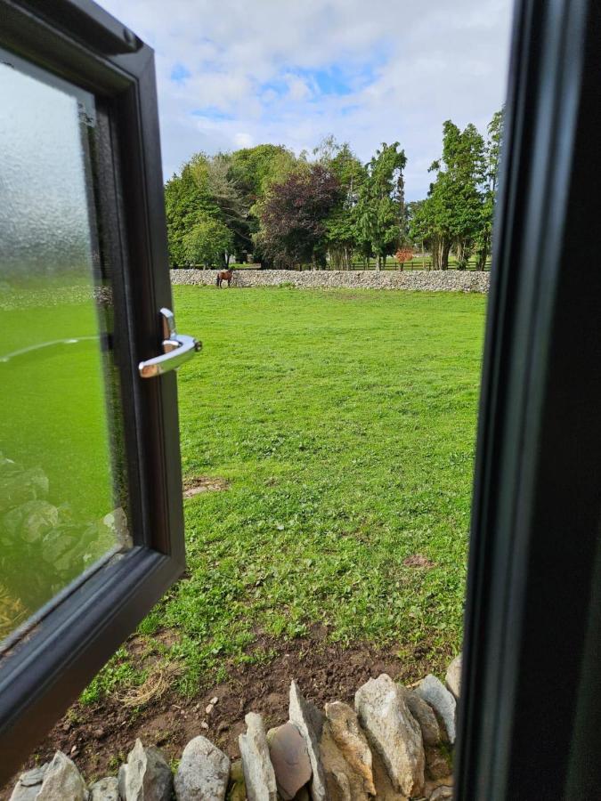 Woodland Shepherds Hut - 'Saga' Caernarfon Buitenkant foto