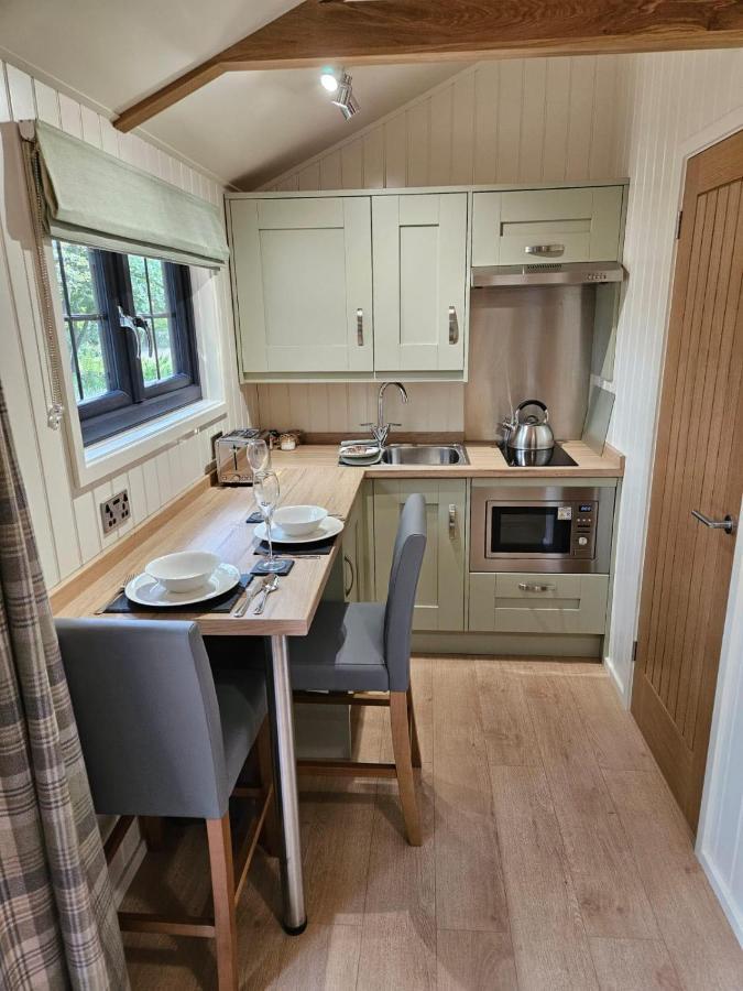 Woodland Shepherds Hut - 'Saga' Caernarfon Buitenkant foto