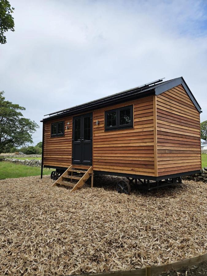 Woodland Shepherds Hut - 'Saga' Caernarfon Buitenkant foto