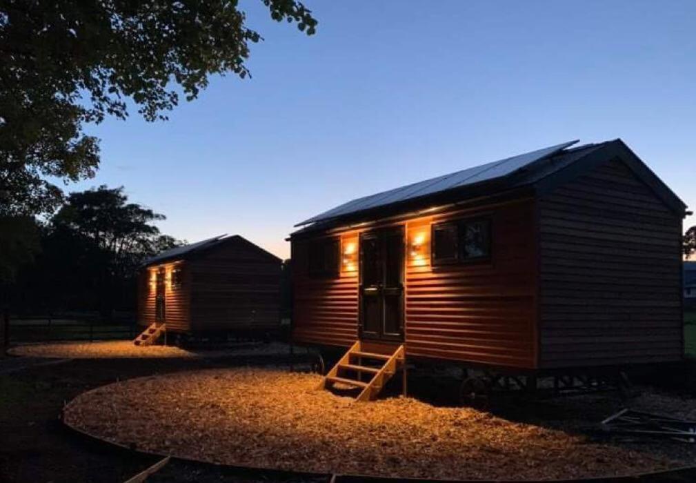 Woodland Shepherds Hut - 'Saga' Caernarfon Buitenkant foto
